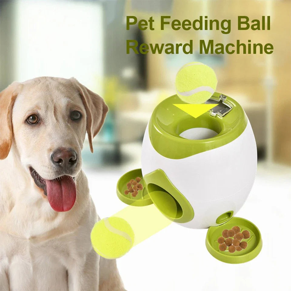 Dog Automatic Ball Launcher Convenient Pet Ball Thrower Interactive Game UK New